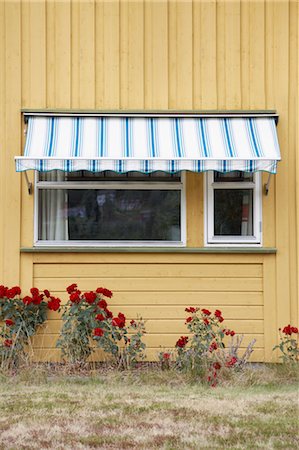 shrub - House Exterior, Herefoss, Aust-Agder, Norway Stock Photo - Rights-Managed, Code: 700-03682106