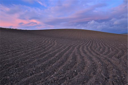 erde (boden) - Gepflügtes Feld bei Sonnenuntergang, in der Nähe von Ronda, Provinz Malaga, Andalusien, Spanien Stockbilder - Lizenzpflichtiges, Bildnummer: 700-03682301