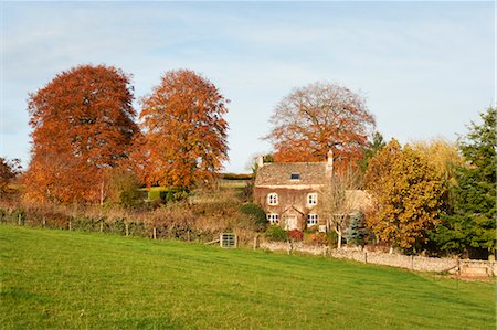 Old Farmhouse Surrounded by Trees in Autumn, Cotswolds, Gloucestershire, England Stock Photo - Rights-Managed, Code: 700-03682439