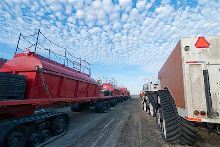 petróleo e gasolina - Large Tracked Vehicles, Prudhoe Bay, Alaska, USA Foto de stock - Direito Controlado, Número: 700-03696990