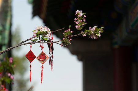 Décorations sur une branche d'arbre, salle des rois célestes, le parc Beihai, Xicheng District, Beijing Photographie de stock - Rights-Managed, Code: 700-03698111