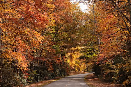 pictures of the blue ridge parkway in fall - Blue Ridge Parkway, North Carolina, USA Stock Photo - Rights-Managed, Code: 700-03698362