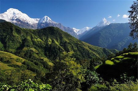 Annapurna South seen from Ghandruk Village, Annapurna Conservation Area, Gandaki Zone, Nepal Stock Photo - Rights-Managed, Code: 700-03734649