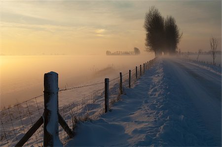 Route de campagne en hiver, Wolphaartsdijk, Zeeland, Pays-Bas Photographie de stock - Rights-Managed, Code: 700-03737443