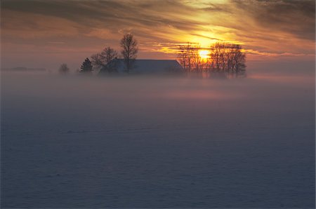 Ferme au coucher du soleil en hiver Photographie de stock - Rights-Managed, Code: 700-03738203