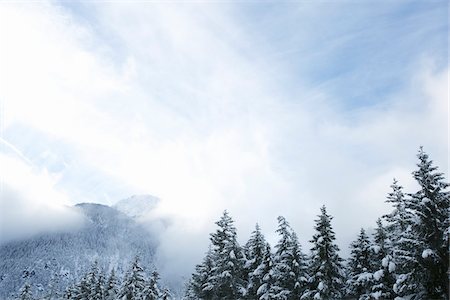 snow mountain british columbia not gondola - Mountains in E. C. Manning Provincial Park, British Columbia, Canada Stock Photo - Rights-Managed, Code: 700-03738776