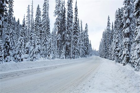 Snow Covered Road, Hope, British Columbia, Canada Foto de stock - Con derechos protegidos, Código: 700-03738778