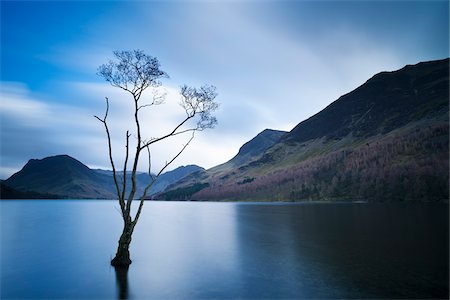 simsearch:700-03682147,k - Lone Tree in Lake at Dusk, Lake Buttermere, Lake District, England Stock Photo - Rights-Managed, Code: 700-03768715