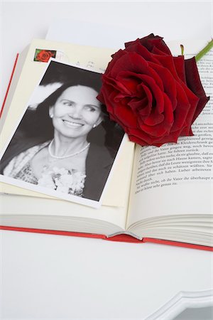 Stillleben mit Foto und Rose Stockbilder - Lizenzpflichtiges, Bildnummer: 700-03762526