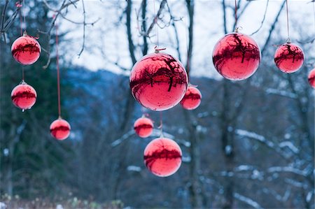 reflejo (espejo) - Red Christmas Balls Hanging on Tree, Salzburg, Austria Foto de stock - Con derechos protegidos, Código: 700-03762590