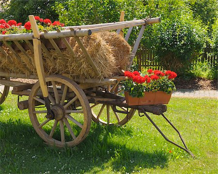 Old Fashioned Hay Cart, Schmachtenberg, Bavaria, Germany Foto de stock - Con derechos protegidos, Código: 700-03787348