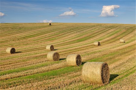 Hay Bales in Field, Reinheim, Hesse, Germany Stock Photo - Rights-Managed, Code: 700-03787356