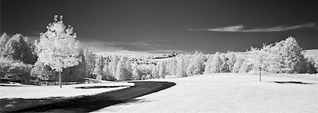 québec - Route et arbres, Austin, Estrie, Canada Photographie de stock - Rights-Managed, Code: 700-03782498