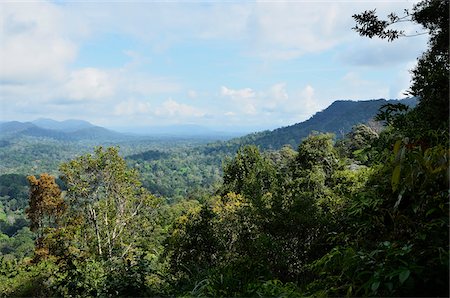 simsearch:700-03805285,k - View of Taman Negara National Park from Bukit Teresek, Pahang, Malaysia Foto de stock - Con derechos protegidos, Código: 700-03799550