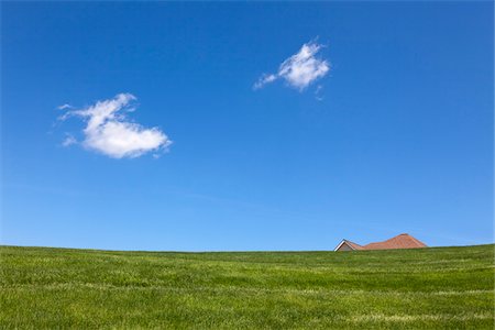 Roof of House Peeking over Hill, near West Chester, Pennsylvania, USA Stock Photo - Rights-Managed, Code: 700-03814116