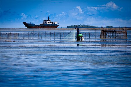 schiff - Fischer werfen, Net, Nuku'alofa, Tongatapu, Königreich Tonga Stockbilder - Lizenzpflichtiges, Bildnummer: 700-03814139