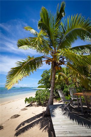 palm trees blue sky - Fafa Island Resort, Nuku'alofa, Tongatapu, Kingdom of Tonga Stock Photo - Rights-Managed, Code: 700-03814146