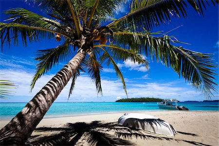 palm trees blue sky - Rowboat on Beach, Mounu Island Resort, Vava'u, Kingdom of Tonga Stock Photo - Rights-Managed, Code: 700-03814228