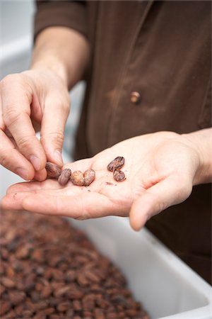 Personne qui détient des fèves de cacao Photographie de stock - Rights-Managed, Code: 700-03836272
