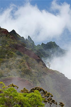 Kalalau Valley, Napali Coast, Kauai, Hawaii, USA Foto de stock - Con derechos protegidos, Código: 700-03865671