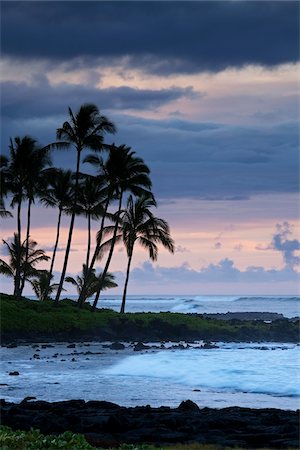 palm - Sunset, Kauai, Hawaii, USA Foto de stock - Con derechos protegidos, Código: 700-03865694