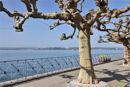 seaside promenade - Trees and Lake Constance, Meersburg, Baden-Wurttemberg, Germany Stock Photo - Rights-Managed, Code: 700-03891099