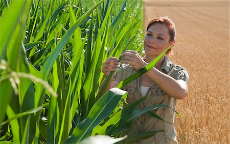 europe farmer pic - Woman in Corn Field, Mannheim, Baden-Wurttemberg, Germany Stock Photo - Rights-Managed, Code: 700-03891203