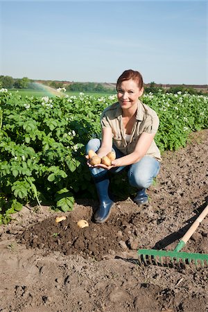 Frau in Kartoffel Feld, Mannheim, Baden-Württemberg, Deutschland Stockbilder - Lizenzpflichtiges, Bildnummer: 700-03893380