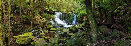 Horseshoe Falls, Parc National du Mont champ, Tasmanie, Australie Photographie de stock - Rights-Managed, Code: 700-03907017