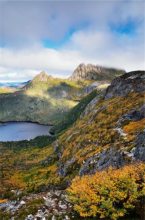 pictures of land and vegetation - Deciduous Beech and Dove Lake, Cradle Mountain-Lake St Clair National Park, Tasmania, Australia Stock Photo - Rights-Managed, Code: 700-03907037