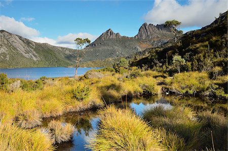 Cradle Mountain et le lac Dove, Cradle Mountain-Lake St Clair National Park, Tasmania, Australie Photographie de stock - Rights-Managed, Code: 700-03907030