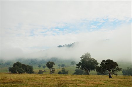 Paysage rural, New South Wales, Australie Photographie de stock - Rights-Managed, Code: 700-03907043