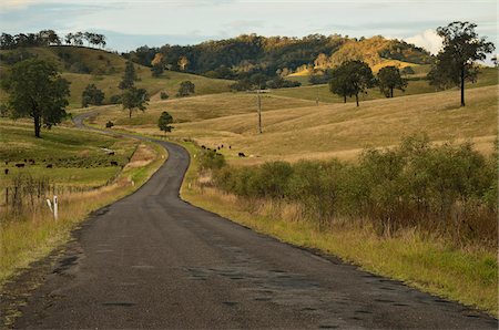 photographs of country roads - Countryside near Dungog, New South Wales, Australia Stock Photo - Rights-Managed, Code: 700-03907050