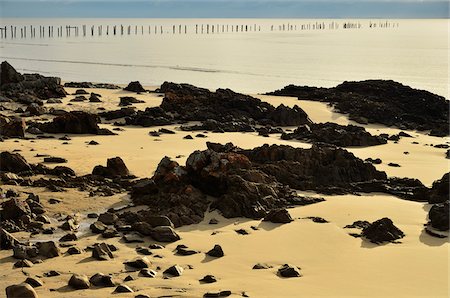 dock posts - Old Jetty, Anderson Bay, Bridport, Tasmania, Australia Stock Photo - Rights-Managed, Code: 700-03907561