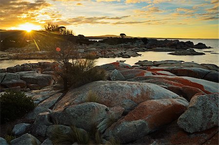 simsearch:862-07909372,k - Côte rocheuse au coucher du soleil, Bay of Fires, Tasmania, Australie Photographie de stock - Rights-Managed, Code: 700-03907574