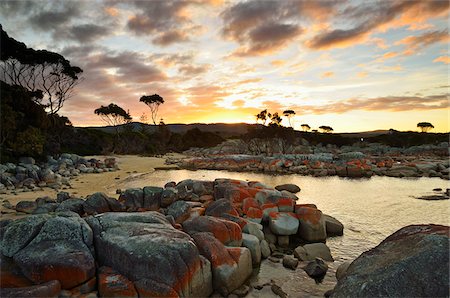 Les roches et les arbres au coucher du soleil, Bay of Fires, Tasmania, Australie Photographie de stock - Rights-Managed, Code: 700-03907575