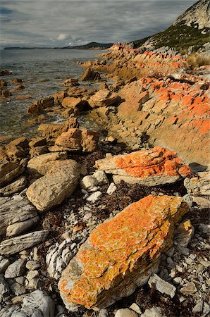 Red Lichen on Rocks, Rocky Cape National Park, Tasmania, Australia Stock Photo - Rights-Managed, Code: 700-03907577