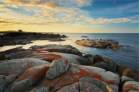 Rocky Coast, Bay of Fires, Tasmania, Australia Stock Photo - Rights-Managed, Code: 700-03907573