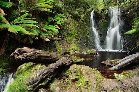 Chutes de Hogarth, Strahan, Tasmania, Australie Photographie de stock - Rights-Managed, Code: 700-03907613