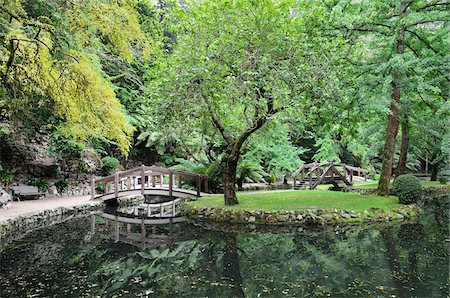 park with pond - Alfred Nicholas Gardens, Dandenong Ranges, Victoria, Australia Stock Photo - Rights-Managed, Code: 700-03907629