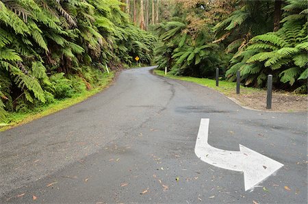 direction sign and nobody road - Road Through Rainforest, Tarra-Bulga National Park, Victoria, Australia Foto de stock - Con derechos protegidos, Código: 700-03907621