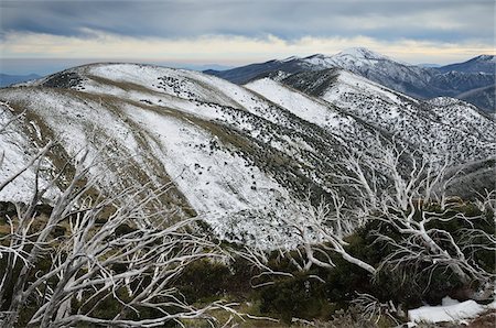 simsearch:700-03907645,k - Mount Hotham after Snowfall, Victoria, Australia Stock Photo - Rights-Managed, Code: 700-03907639