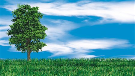 environment illustrations - Lone Tree Stock Photo - Rights-Managed, Code: 700-03901045