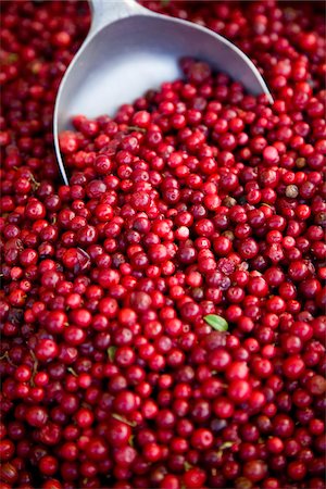 elke esser - Preiselbeeren mit Schaufel, Viktualienmarkt, München Stockbilder - Lizenzpflichtiges, Bildnummer: 700-03901060