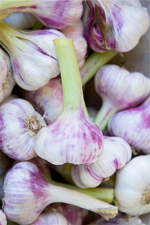 Close-Up of Garlic Bulbs, Viktualienmarkt, Munich, Germany Foto de stock - Con derechos protegidos, Código: 700-03901062