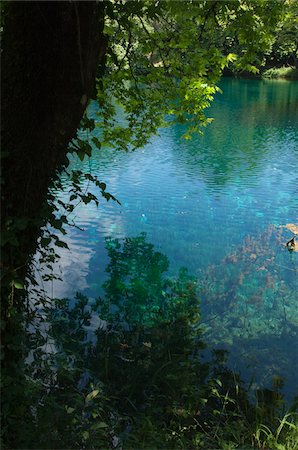 simsearch:700-03958081,k - Arbre se reflète dans l'eau, la rivière Louros, Épire, Grèce Photographie de stock - Rights-Managed, Code: 700-03958079