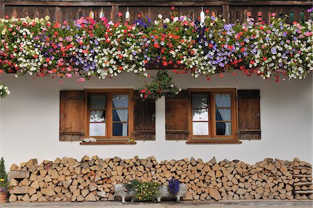 Géraniums et bois de chauffage en face de la maison, Barmsee, Fabrice, Haute-Bavière, Bavière, Allemagne Photographie de stock - Rights-Managed, Code: 700-03979817