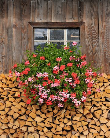 Firewood and Geraniums Beneath Window Stock Photo - Rights-Managed, Code: 700-03979818