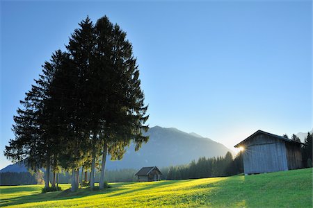 de hojas perennes - Barn in Bavarian Alps with sun, Klais, Werdenfelser Land, Upper Bavaria, Bavaria, Germany Foto de stock - Con derechos protegidos, Código: 700-03979822