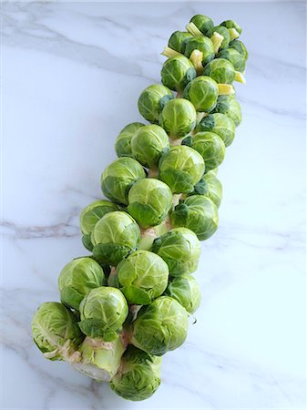 sprout (young shoots eaten raw) - Brussels sprouts tree Photographie de stock - Rights-Managed, Code: 824-07586117